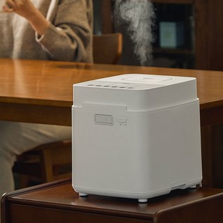 주코 스텐 대용량 포그니 가열식 가습기 4L, ZH-LG901G