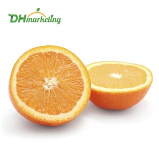 미국산 네이블 오렌지 중과 20입 4kg, 1박스