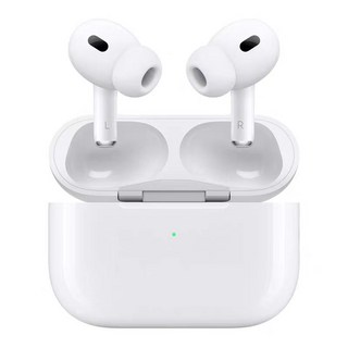 Apple 에어팟 프로 2세대 USB-C 이어팁 이미지