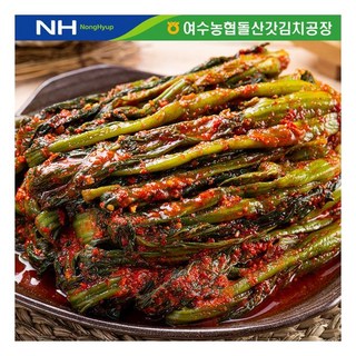 더싱싱 여수 돌산 갓김치 5kg 985623 Thesingsing, 더싱싱 여수 돌산 갓김치 5kg 985623 Thesi