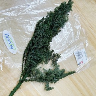 大地農園 Earth matters 永生雪松聖誕花圈，天然雪松，持久美麗，聖誕節慶裝飾首選, 1個, 一份約15g, 綠色