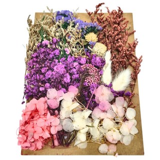 A-ONE 匯旺 乾燥花 Set 2包 愛情海之戀 C03