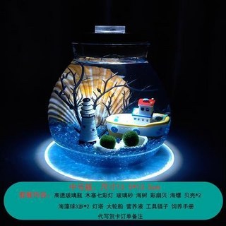 海藻球水培植物微景觀生態瓶苔蘚盆栽玻璃瓶 (包郵), 中號 燈塔游輪3歲2顆, 1個