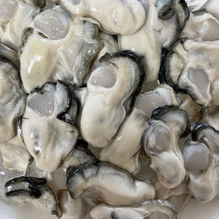 당일조업 제철 통영 생굴 산지 생굴 1kg 세척 굴 (오후 6시 이전 주문 당일발송), 1개