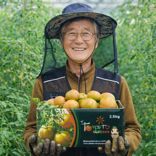 [농협 인증] 짭짤이 대저토마토 산지직송, 1박스, 못난이 (사이즈혼합) 2.5kg
