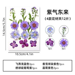 【貼臉壓花系列】花包組合 真花壓花 永生花 森林系少女寫真 壁畫 DIY水晶滴膠 乾燥花 植物標本, 8.紫氣東來