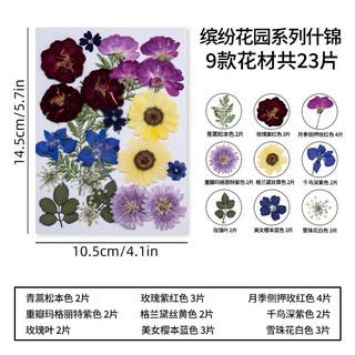【繽紛花園系列】花包組合 真花壓花 永生花 森林系 少女寫真 壁畫 DIY水晶滴膠 乾燥花 植物標本, 1.繽紛花園什錦