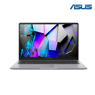 ASUS Expertbook P1 P1503CVA-S70532 / Win11 / 13세대 i5 / PD충전, ASUS P1 P1503CVA-S70532, WIN11 Pro, 16GB, 1TB, 미스티 그레이