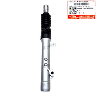 PGO摩特動力 BON 前避震器 避震 ZAN CBS BON前避震 棒 ABS 銀色 棕金, 1個, 左棕金色, 左棕金色