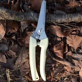 園林花木修剪剪刀：台灣熱銷園藝綠化草坪修枝剪，籬笆剪，樹枝剪, 1個, 236枝剪