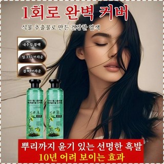 오일 헤어 컬러 젤 염색크림 헤어 염료 흰머리 커버 장기간 고착력 투명 겔 병, 블랙브라운, 260mlx2병/set