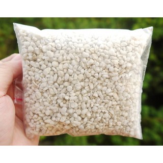 花樣渼栽盆栽生活館 珍珠石(介質)(多肉)(植物)(盆栽)(室內植物)(可混土), 1個, 白色