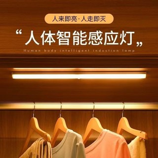 桃園出貨 LED感應燈 充電式小夜燈 人體智能感應燈 衣櫃燈 鞋櫃燈 無線自粘 廚房燈 充電式, 1個, 【限購1個】10CM充電白光感應款