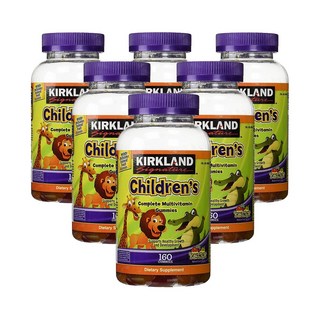 [정품 미국 배송] 커클랜드 어린이용 멀티 비타민 160정 -6개(구미) Kirkland Childrens Complete Multicitamin, 1세트, 960정