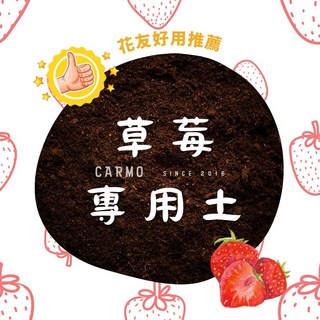 CARMO草莓專用泥炭土(沃鬆一號) 草莓土 辣椒番茄專用土 藍莓土 茶花土 介質土壤, 1個, 特調黃金草莓土5公升
