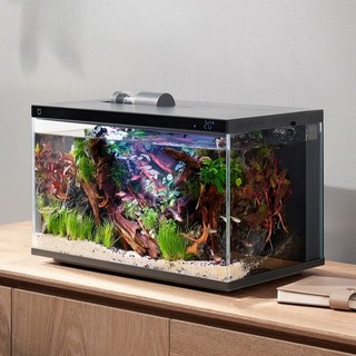 샤오미 어항 데스크탑 스마트 어항, 스마트어항+50W히팅로드