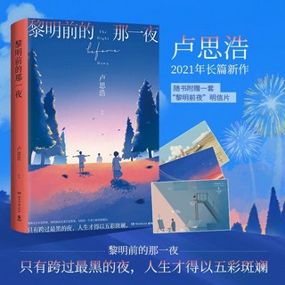 你也走瞭很遠的路吧2022版盧思浩小説, 黎明前的那一夜