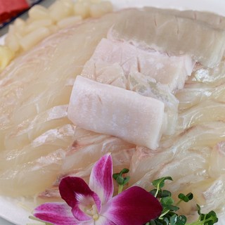 가락시장 노다지수산 [광어회] 슬라이스 대광어 숙성회, 1세트, 대(4인분, 900g)