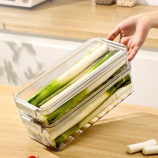 BLOWFISHFUGU 대파 수납 용기 대파담는통 냉장고 다용도 보관함 대파정리함, 1500ml, 2개