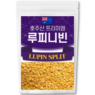 The큰나무 최상급 루피니빈 콩 호주산 루핀콩, 1kg, 1개