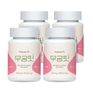 [본사출고] 무궁핏, 4개, 45정