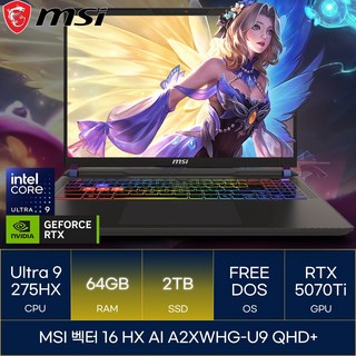 MSI 2025 벡터 16 HX AI 코어Ultra9 지포스 RTX 5070 Ti, 코스모스 그레이, 2TB, 64GB, Free DOS, A2XWHG-U9 QHD+