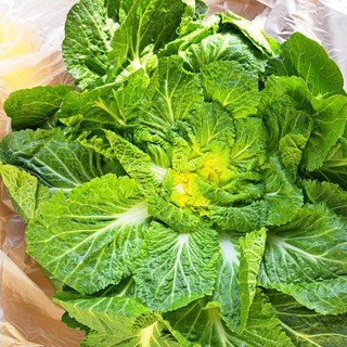 싱싱한 봄동 배추, 2kg