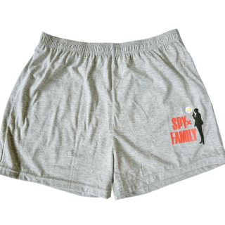 間諜家家酒授權男童四角褲2件組 透氣