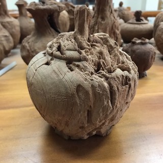 牛樟芝椴木子實體培養用牛樟木 擺件ty67, 1個