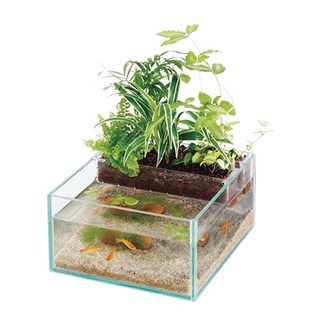SUISAKU水作魚草生態缸 日本魚缸 底砂 魚草共生缸 魚缸造景 水族用品 魚缸種植 水耕, 1個