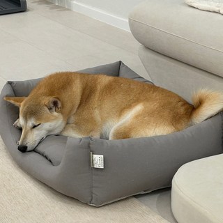 강아지용 캔버스 애견쿠션+베드, 브릭, 1개