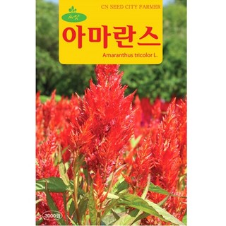 아마란스 씨앗 3000립 아마란스씨 종자 키우기, 1개