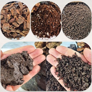 배양토 상토 식물바크 아쿠아소일 붙이는흙 생명정 생명토 소용량 모음 테라리움 재료, 1개, 상토(150g)