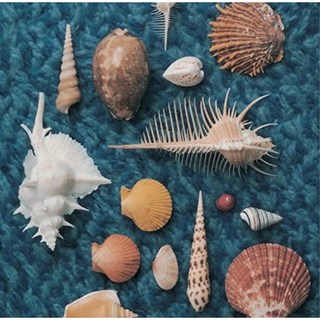 [일본직구] Spitz 스피츠 베스트 앨범 CD [CYCLE HIT I], 상품선택