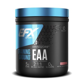 올아메리칸이에프엑스 트레이닝 그라운드 아미노조브 EAA 조지아 피치, 1개, 213g