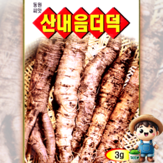 동원농산종묘 산내음더덕 3g 더덕 민속 씨앗 종자, 1개