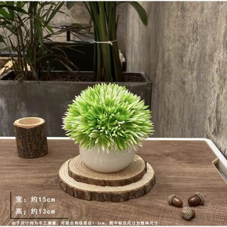 仿真綠植盆栽擺件 家居/民宿擺飾 會議室/辦公室迷你裝飾品, 吉祥草+花盆, 1個