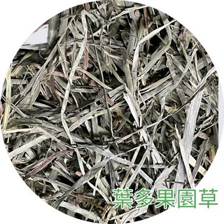 ※兔老爺※現貨快速出貨 果園草500克-提摩西牧草.提摩西1割.提摩西2割 提摩西二割 提摩西一割 果園 狼尾草, 1個, 葉多果園草,5公斤
