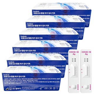 젠바디 코로나19 신속항원 자가진단 검사키트, 6개, 2개입