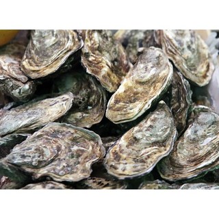 伯宥水產 嘉義東石帶殼生蚵, 詳見包裝