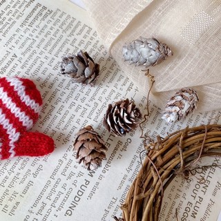 極度花燥 松花落葉松果乾燥花材組：毬果、尤加利果實，適用於聖誕花圈、藤圈DIY裝飾, 雪景一份1份10顆