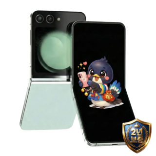 삼성전자 갤럭시 Z플립5 모든옵션 2년보증A/S 99% 새상품 자급제 공기계, 256GB, 민트