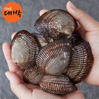 제철 피조개 국내산 남해안 피꼬막, 1개, 2kg