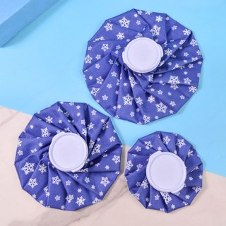 르와핏 결로없는 얼음 주머니, 3개