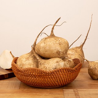 국내산 히카마 멕시코 감자 얌빈 건강 제주 강원 랜덤, 1박스, 3kg