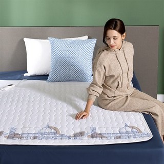 이메텍 프리미엄 순면 전기요 더블 IMF-092플로렌스