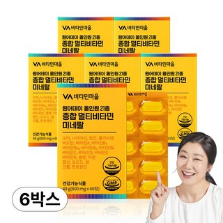 비타민마을 원어데이 올인원 21종 종합 멀티비타민 미네랄, 60정, 6개