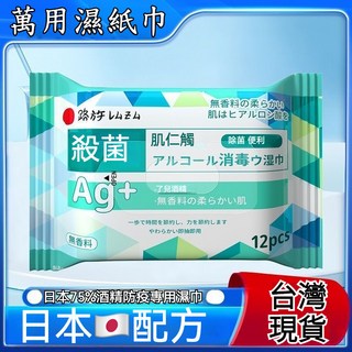 75%酒精消毒濕紙巾 12片裝 殺菌抑菌, 1個, 生活專用75_酒精濕紙巾12片裝, 12
