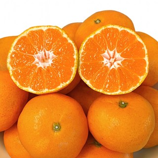 푸드지 고당도 제주 감귤, 1박스, 로얄과 5kg