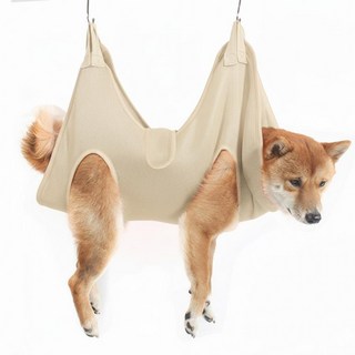 강아지 애견 반려견 반려묘 고양이 미용거치대 미용대 해먹 셀프 미용테이블 받침대 발톱 손톱 깎기 깎이, 1개, M 1개_아이보리